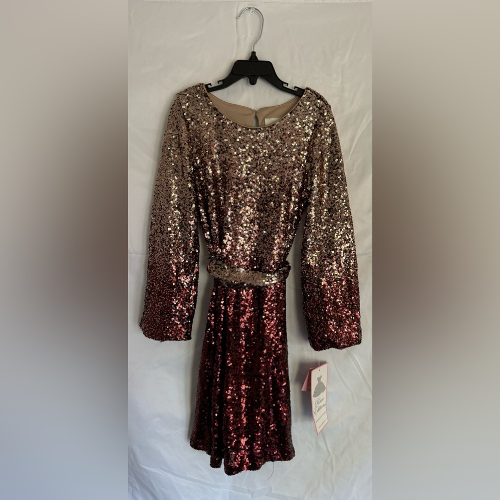 Rare Editions
Long Sleeve Ombre Sequin Mesh with Matching Sash Dress